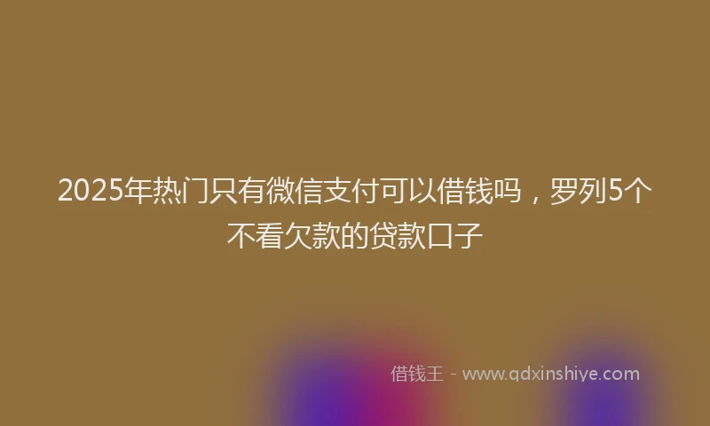 2025年热门只有微信支付可以借钱吗，罗列5个不看欠款的贷款口子