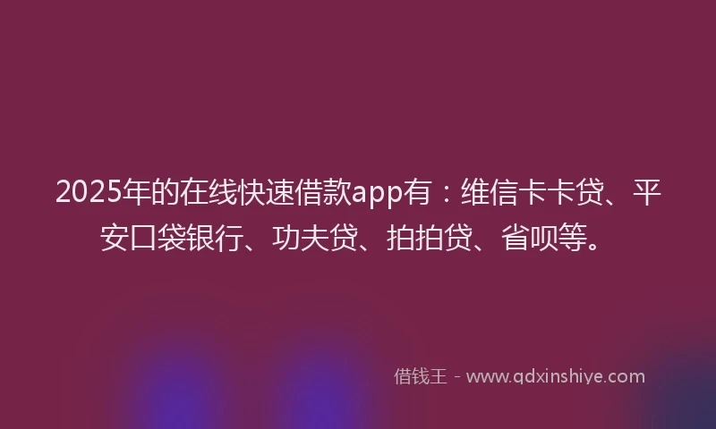 2025年的在线快速借款app有：维信卡卡贷、平安口袋银行、功夫贷、拍拍贷、省呗等。