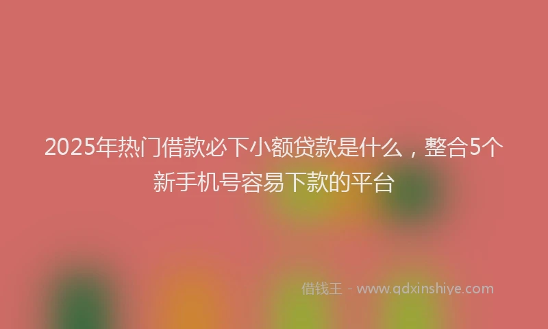 2025年热门借款必下小额贷款是什么，整合5个新手机号容易下款的平台