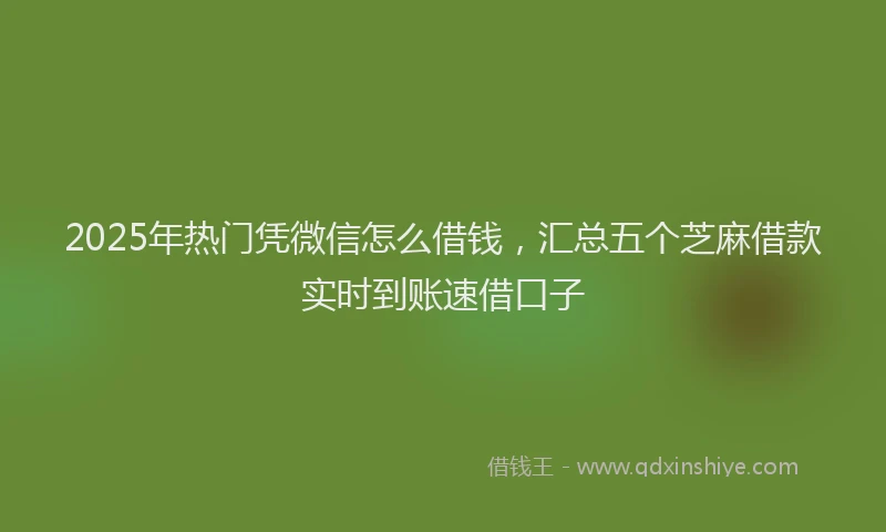 2025年热门凭微信怎么借钱，汇总五个芝麻借款实时到账速借口子