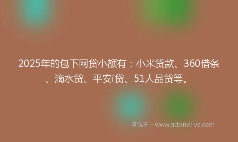 2025年的包下网贷小额有：小米贷款、360借条、滴水贷、平安i贷、51人品贷等。