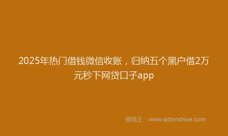 2025年热门借钱微信收账，归纳五个黑户借2万元秒下网贷口子app