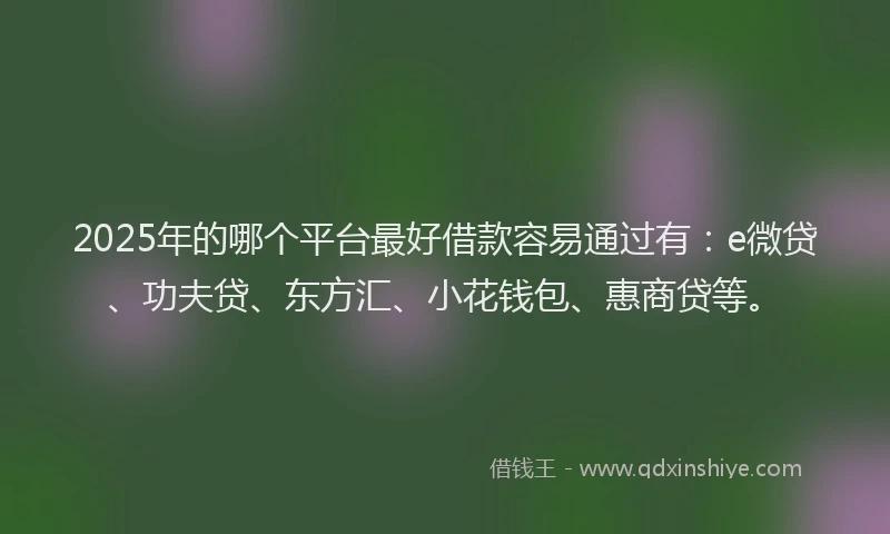 2025年的哪个平台最好借款容易通过有：e微贷、功夫贷、东方汇、小花钱包、惠商贷等。