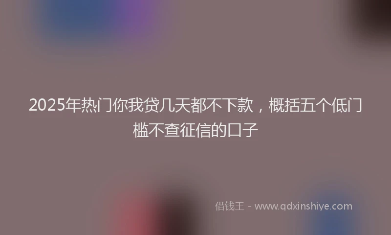 2025年热门你我贷几天都不下款，概括五个低门槛不查征信的口子