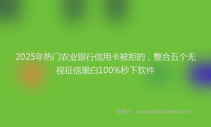 2025年热门农业银行信用卡被拒的，整合五个无视征信黑白100%秒下软件