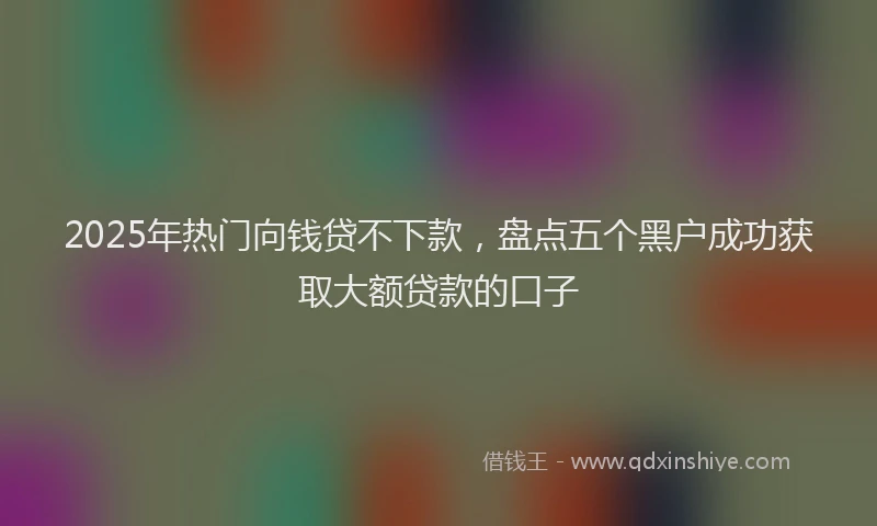2025年热门向钱贷不下款，盘点五个黑户成功获取大额贷款的口子