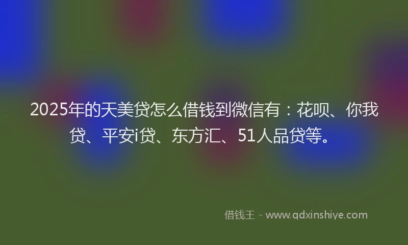 2025年的天美贷怎么借钱到微信有：花呗、你我贷、平安i贷、东方汇、51人品贷等。