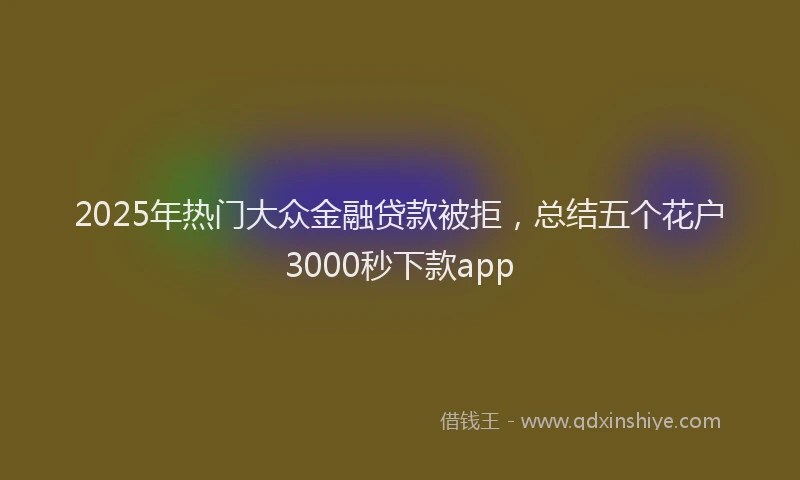 2025年热门大众金融贷款被拒，总结五个花户3000秒下款app