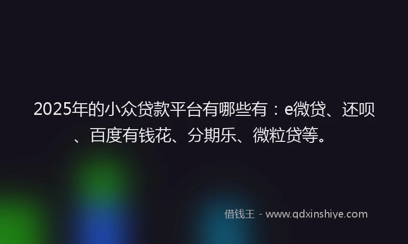 2025年的小众贷款平台有哪些有：e微贷、还呗、百度有钱花、分期乐、微粒贷等。