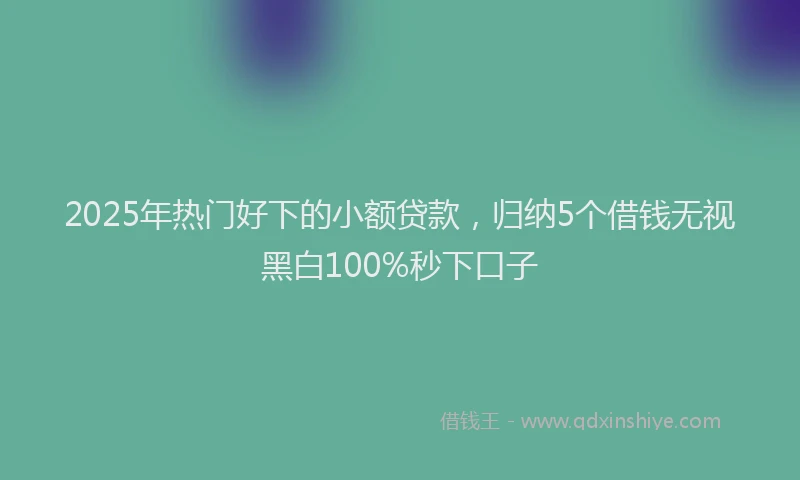 2025年热门好下的小额贷款，归纳5个借钱无视黑白100%秒下口子