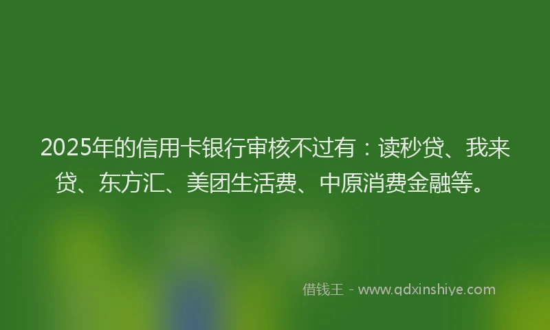 2025年的信用卡银行审核不过有：读秒贷、我来贷、东方汇、美团生活费、中原消费金融等。