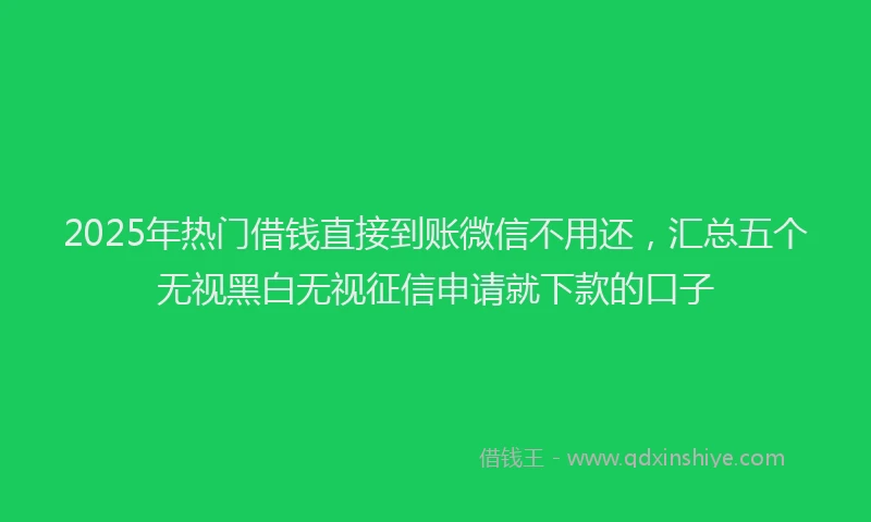 2025年热门借钱直接到账微信不用还，汇总五个无视黑白无视征信申请就下款的口子