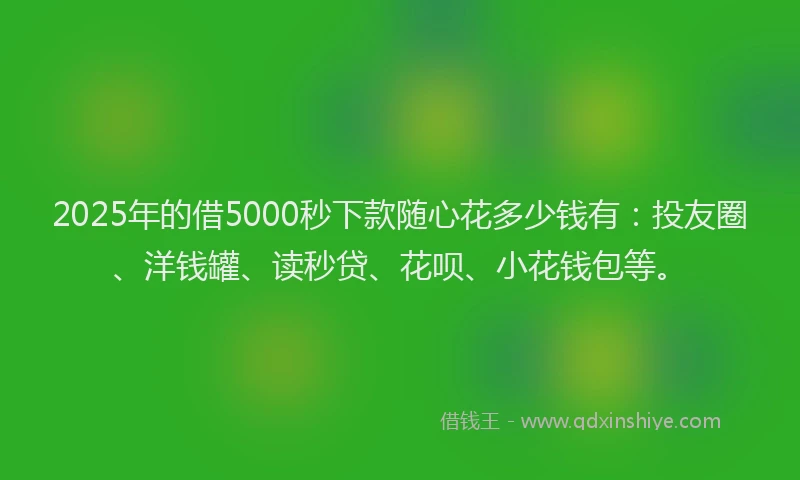 2025年的借5000秒下款随心花多少钱有：投友圈、洋钱罐、读秒贷、花呗、小花钱包等。