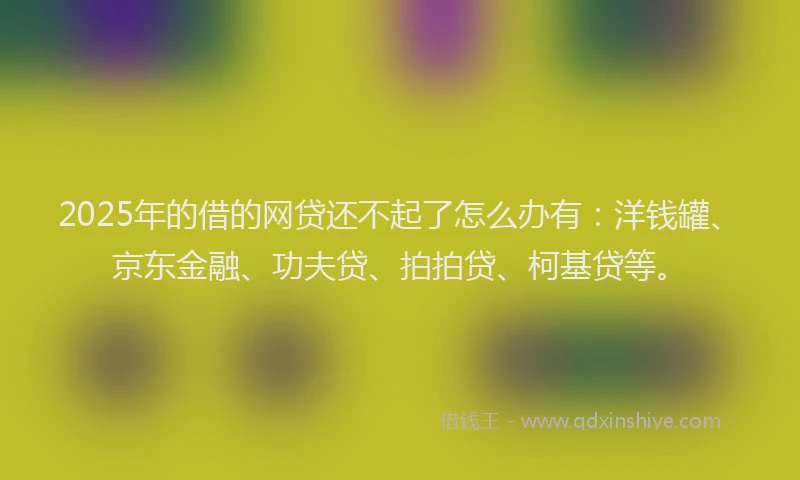 2025年的借的网贷还不起了怎么办有：洋钱罐、京东金融、功夫贷、拍拍贷、柯基贷等。