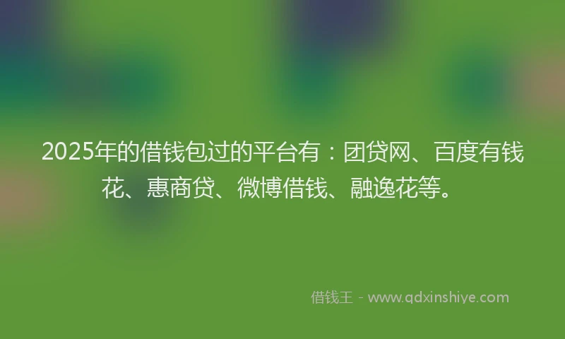 2025年的借钱包过的平台有：团贷网、百度有钱花、惠商贷、微博借钱、融逸花等。