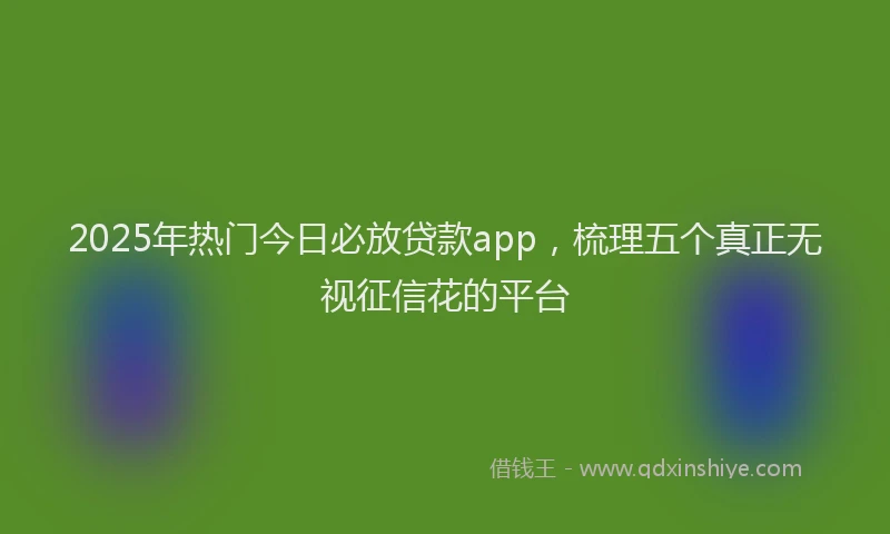 2025年热门今日必放贷款app，梳理五个真正无视征信花的平台