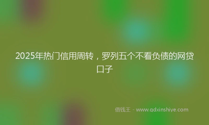 2025年热门信用周转，罗列五个不看负债的网贷口子