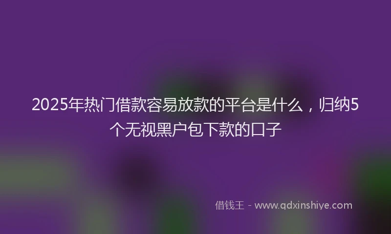 2025年热门借款容易放款的平台是什么，归纳5个无视黑户包下款的口子