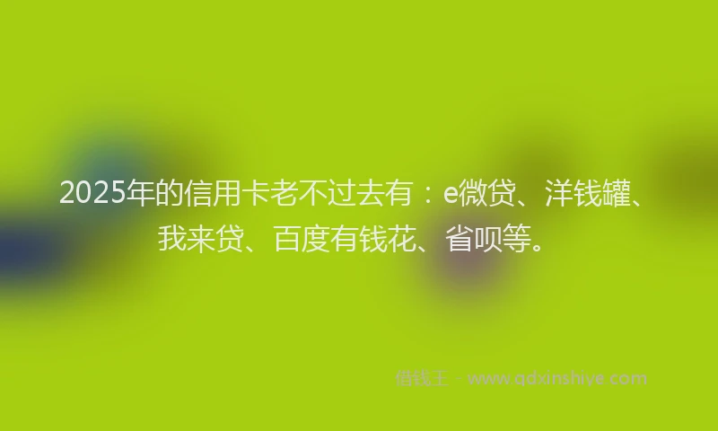 2025年的信用卡老不过去有：e微贷、洋钱罐、我来贷、百度有钱花、省呗等。