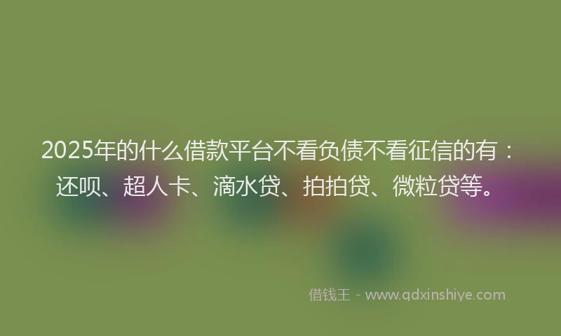 2025年的什么借款平台不看负债不看征信的有：还呗、超人卡、滴水贷、拍拍贷、微粒贷等。