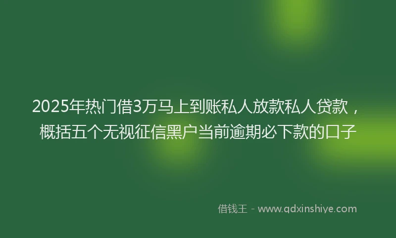 2025年热门借3万马上到账私人放款私人贷款，概括五个无视征信黑户当前逾期必下款的口子
