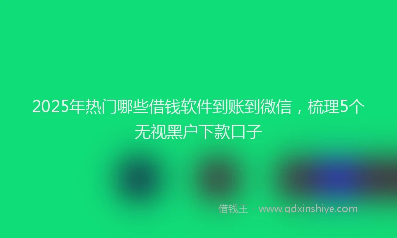 2025年热门哪些借钱软件到账到微信，梳理5个无视黑户下款口子