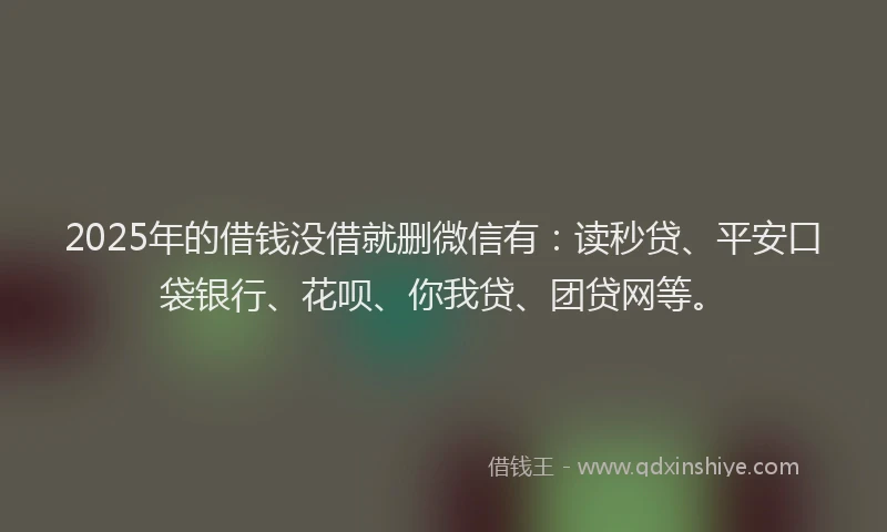 2025年的借钱没借就删微信有：读秒贷、平安口袋银行、花呗、你我贷、团贷网等。