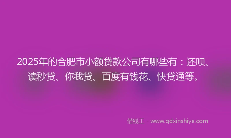 2025年的合肥市小额贷款公司有哪些有：还呗、读秒贷、你我贷、百度有钱花、快贷通等。