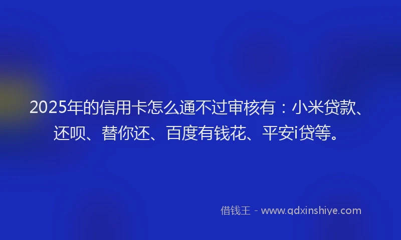 2025年的信用卡怎么通不过审核有：小米贷款、还呗、替你还、百度有钱花、平安i贷等。