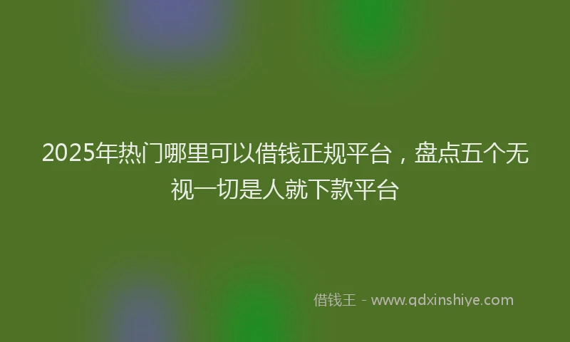 2025年热门哪里可以借钱正规平台，盘点五个无视一切是人就下款平台