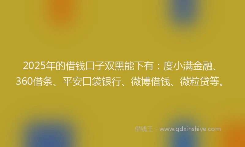 2025年的借钱口子双黑能下有：度小满金融、360借条、平安口袋银行、微博借钱、微粒贷等。