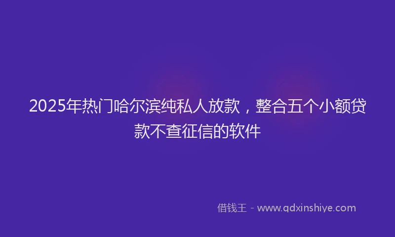 2025年热门哈尔滨纯私人放款，整合五个小额贷款不查征信的软件