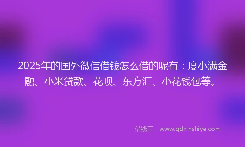 2025年的国外微信借钱怎么借的呢有：度小满金融、小米贷款、花呗、东方汇、小花钱包等。