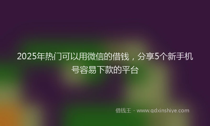 2025年热门可以用微信的借钱，分享5个新手机号容易下款的平台