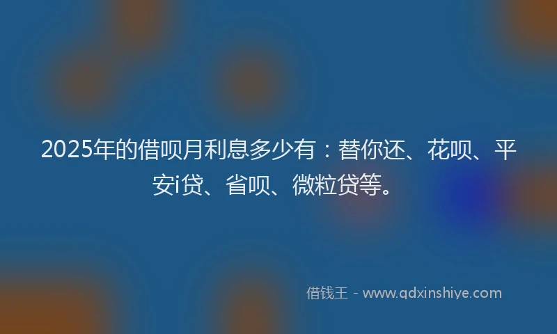 2025年的借呗月利息多少有：替你还、花呗、平安i贷、省呗、微粒贷等。