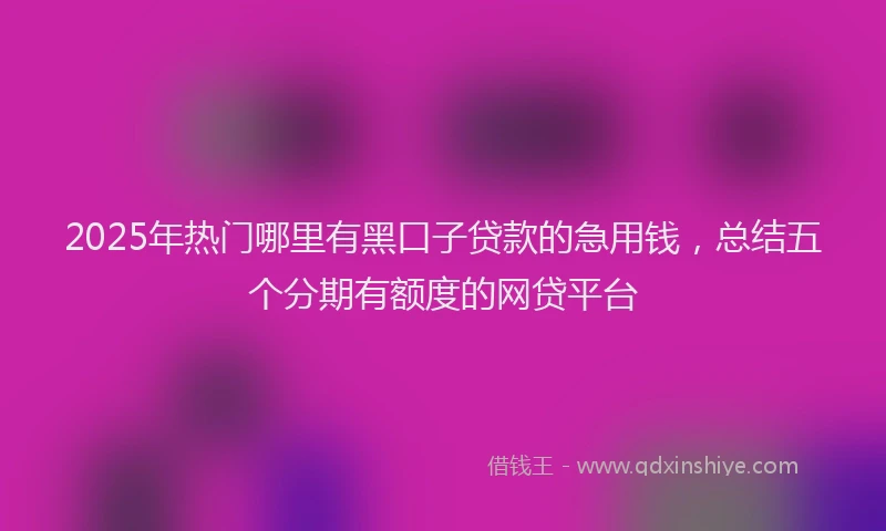 2025年热门哪里有黑口子贷款的急用钱，总结五个分期有额度的网贷平台