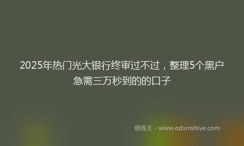2025年热门光大银行终审过不过，整理5个黑户急需三万秒到的的口子