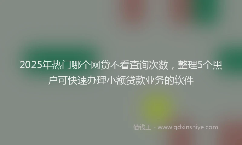 2025年热门哪个网贷不看查询次数，整理5个黑户可快速办理小额贷款业务的软件