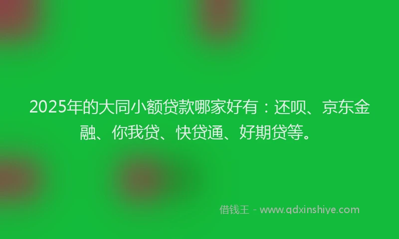 2025年的大同小额贷款哪家好有：还呗、京东金融、你我贷、快贷通、好期贷等。