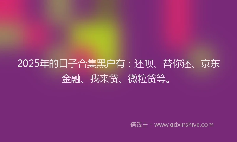 2025年的口子合集黑户有：还呗、替你还、京东金融、我来贷、微粒贷等。