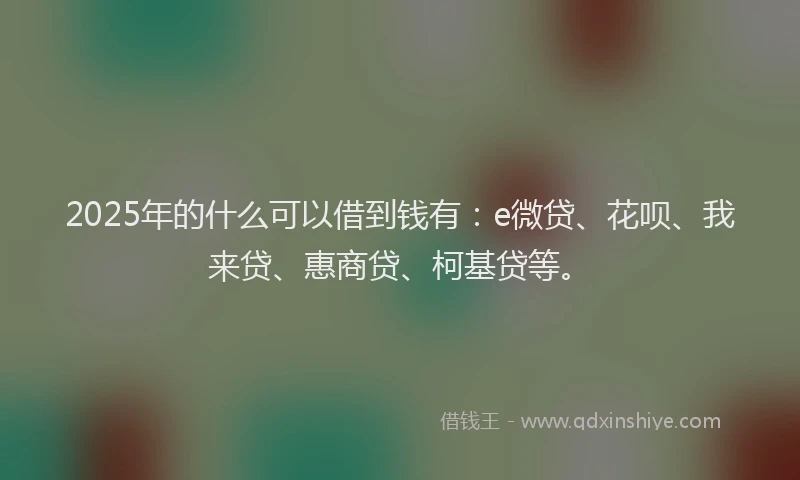 2025年的什么可以借到钱有：e微贷、花呗、我来贷、惠商贷、柯基贷等。