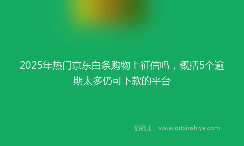2025年热门京东白条购物上征信吗，概括5个逾期太多仍可下款的平台