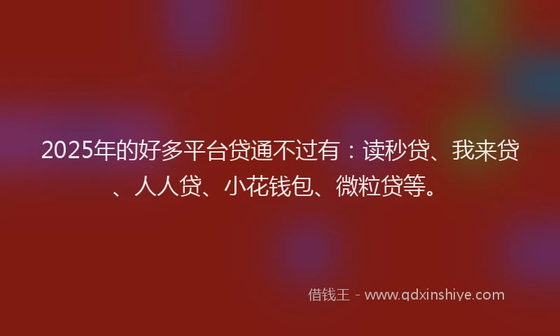 2025年的好多平台贷通不过有：读秒贷、我来贷、人人贷、小花钱包、微粒贷等。