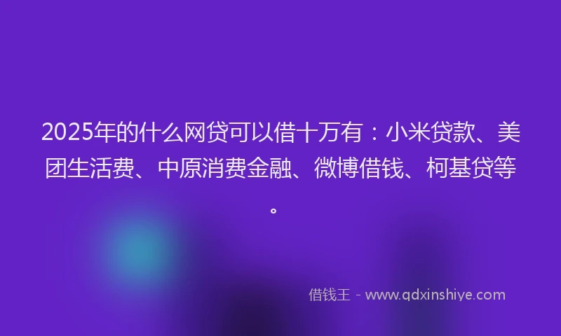 2025年的什么网贷可以借十万有：小米贷款、美团生活费、中原消费金融、微博借钱、柯基贷等。