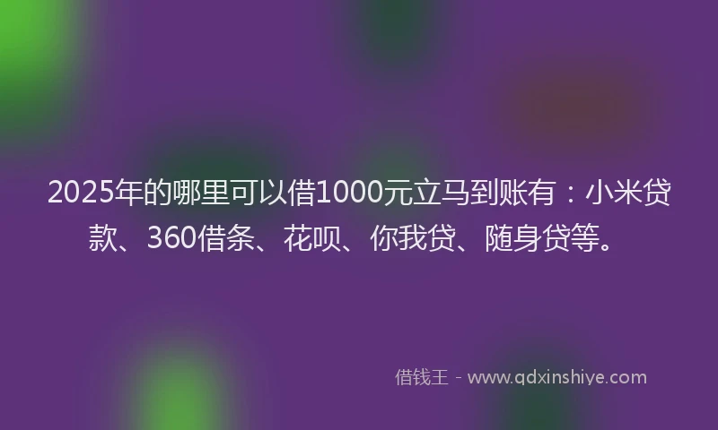 2025年的哪里可以借1000元立马到账有：小米贷款、360借条、花呗、你我贷、随身贷等。