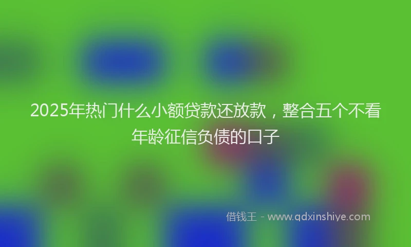 2025年热门什么小额贷款还放款，整合五个不看年龄征信负债的口子