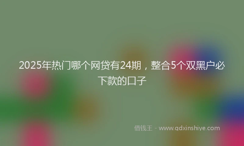 2025年热门哪个网贷有24期，整合5个双黑户必下款的口子