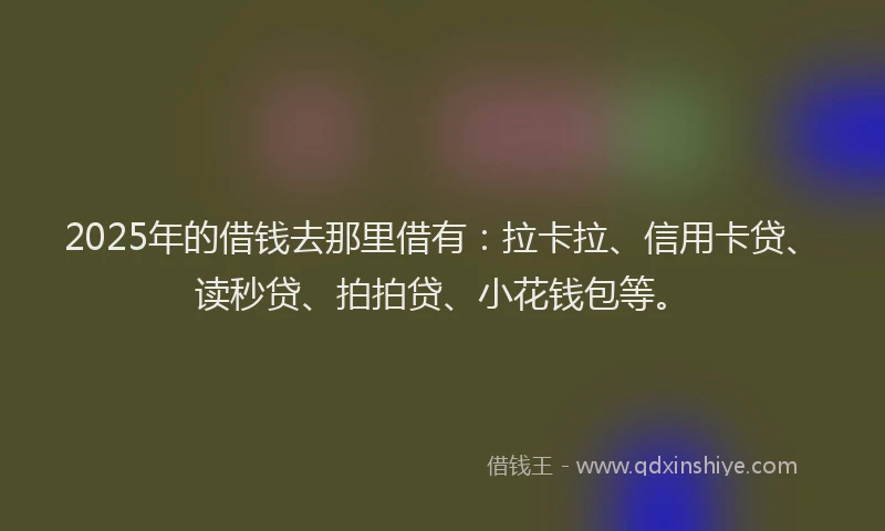 2025年的借钱去那里借有：拉卡拉、信用卡贷、读秒贷、拍拍贷、小花钱包等。