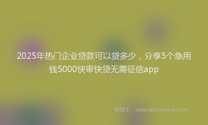2025年热门企业贷款可以贷多少，分享5个急用钱5000快审快贷无需征信app