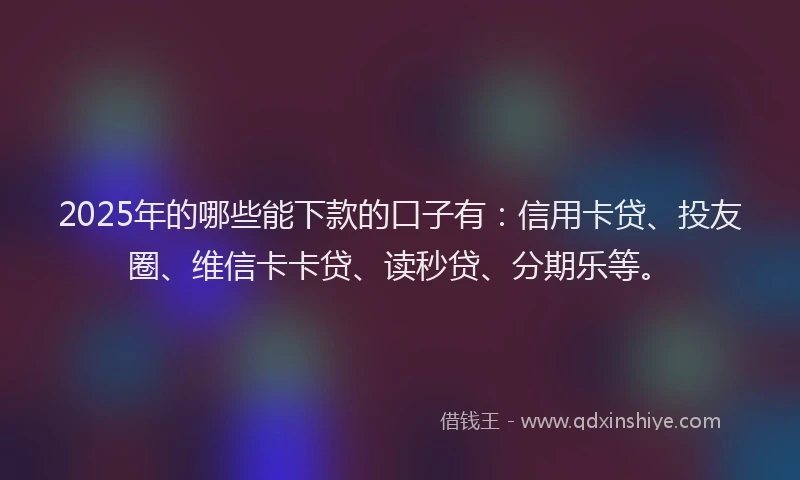 2025年的哪些能下款的口子有：信用卡贷、投友圈、维信卡卡贷、读秒贷、分期乐等。